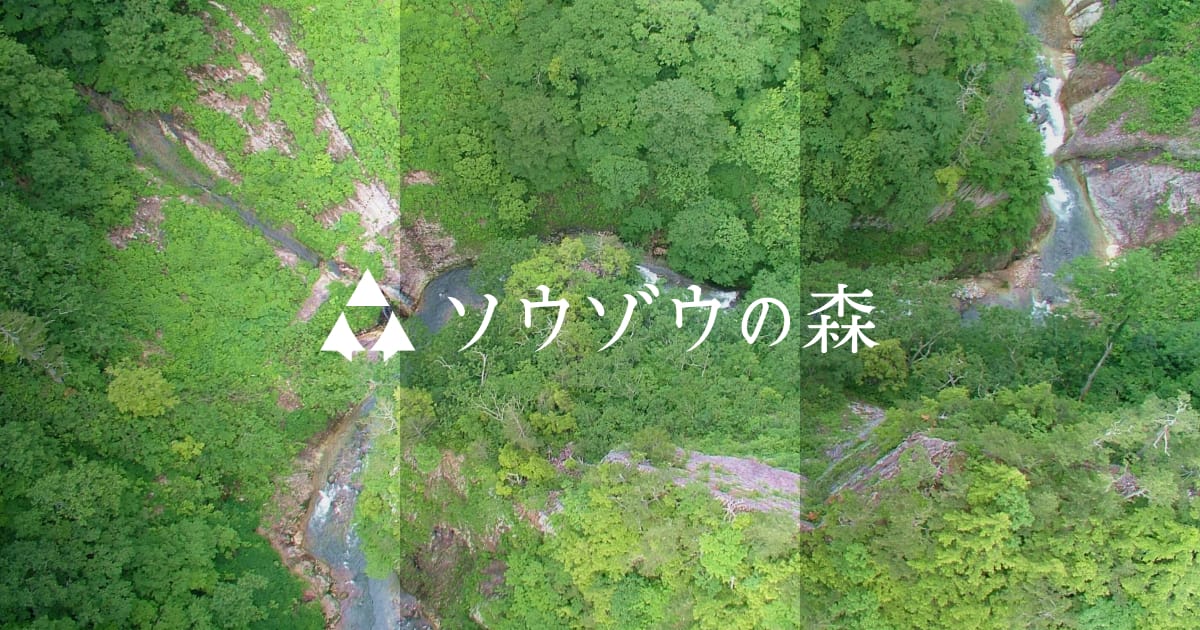 森と人 | 研究開発課題5 | 秋田 COI-NEXT ソウゾウの森プロジェクト